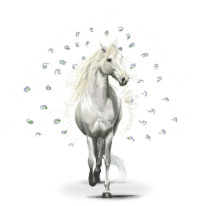 caballo errante de las aves pavos