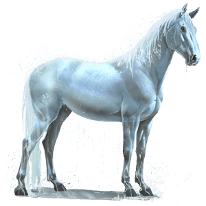 caballo de agua lluvia 