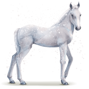 caballo de agua copo de nieve