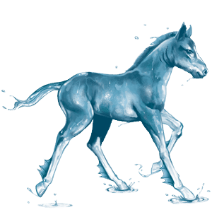 caballo de agua océano